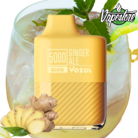 VOZOL ALIEN 5000 - Ginger Ale 2%