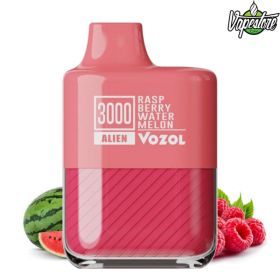 VOZOL ALIEN 5000 - Raspberry Watermelon 2%