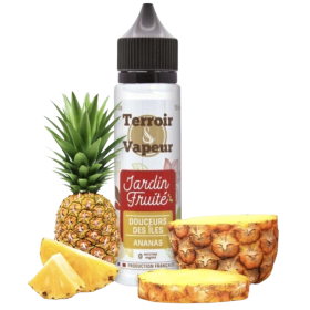 Terroir Vapeur - Jardin Fruite - Ananas