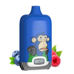 RandM - Fumot Digital Box 12000 - Blueberry Raspberry 20mg