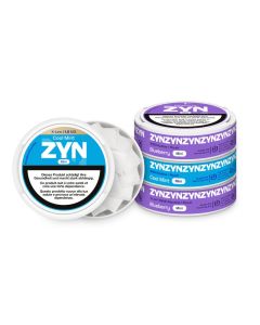 ZYN MINI Discovery Set